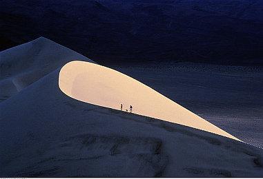 管理冒险《熊与早餐》9月15登陆NS PC获特别好评